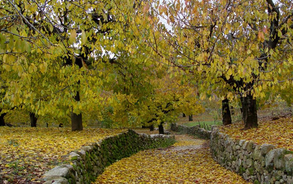 Apartamentos Valle Del Jerte El Huerto Del Cura Cabezuela Del Valle Buitenkant foto